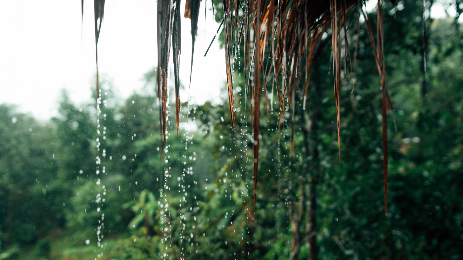 Ini-3-Alasan-Tubuh-Sering-Sakit-di-Musim-Pancaroba