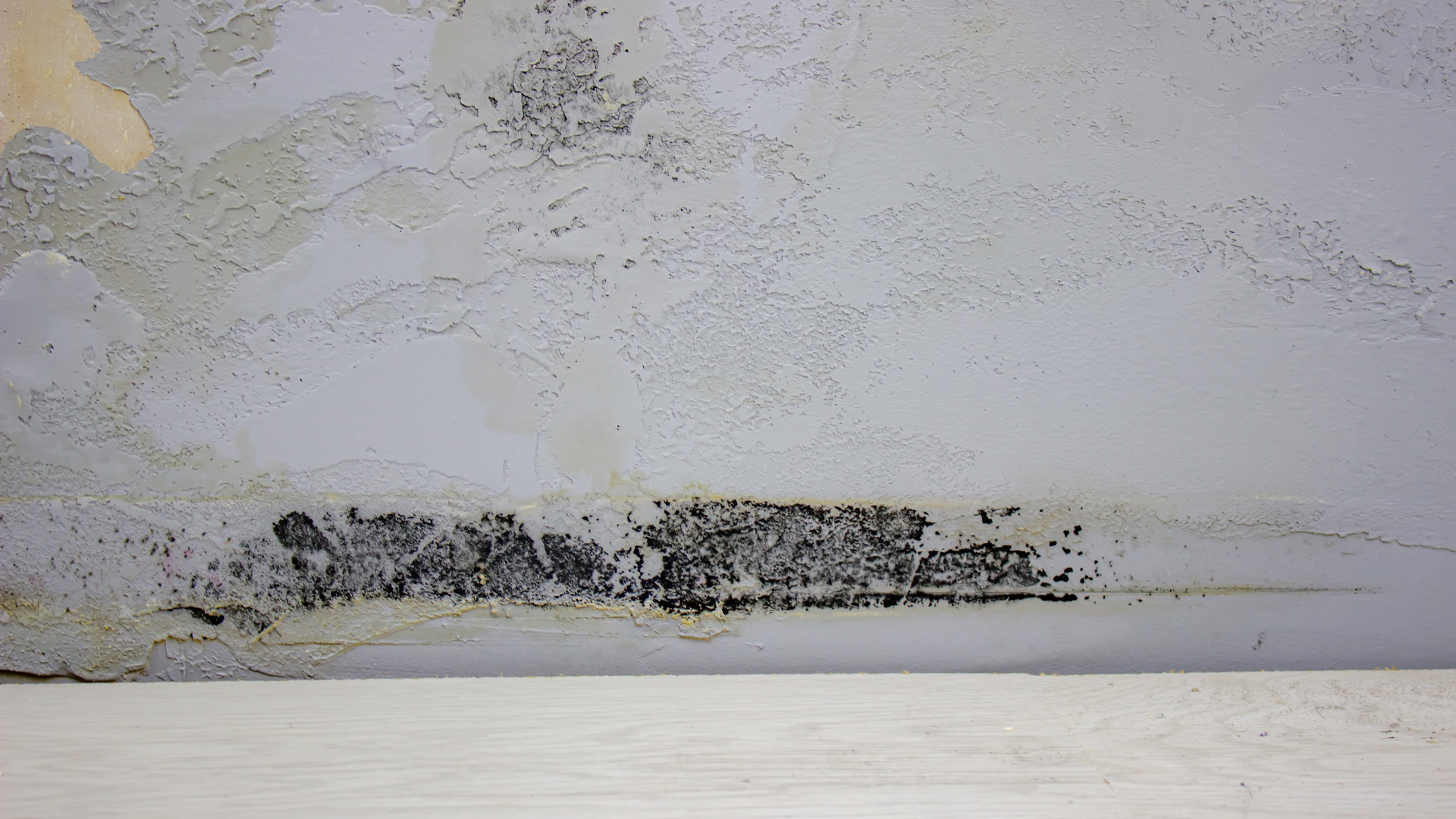 8MsmfesDsjxR5fDTDp8G4KXMJp8f3F-metaQVJUIDAyICg4KS5wbmc=-